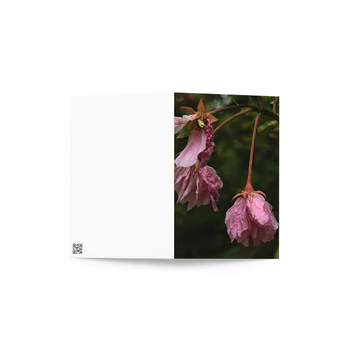 wilted cherry — from "holding" | art print | eza | casa de karma product image (2)
