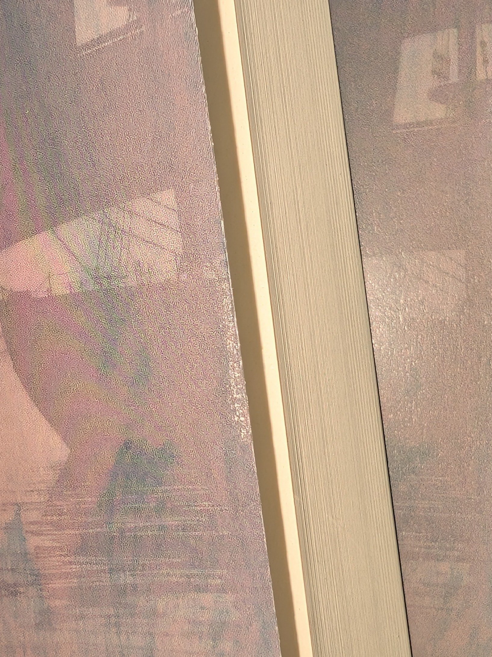 RoM scuffed cover product image (1)