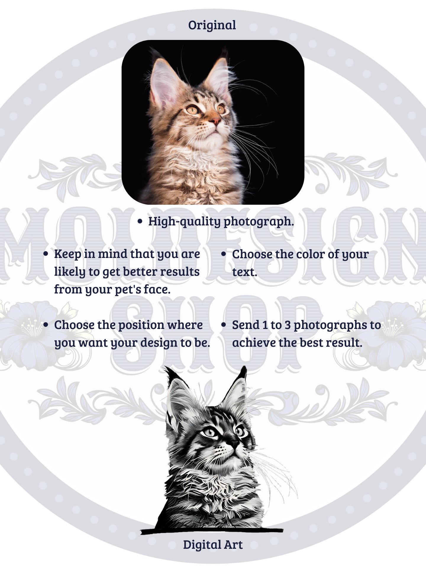 YOUR MAINE COON! / T-SHIRT WITH PERSONALIZED NAME product image (5)