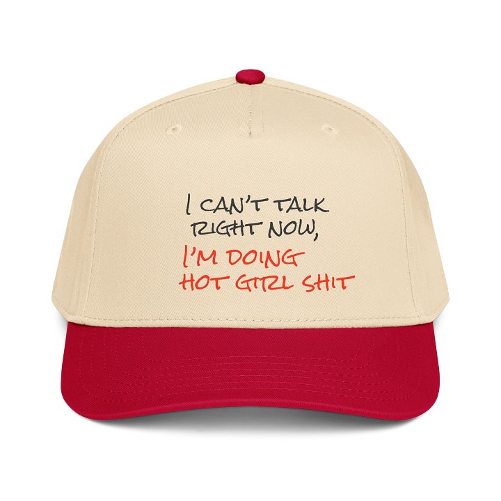Hot Girl Shit product image (1)