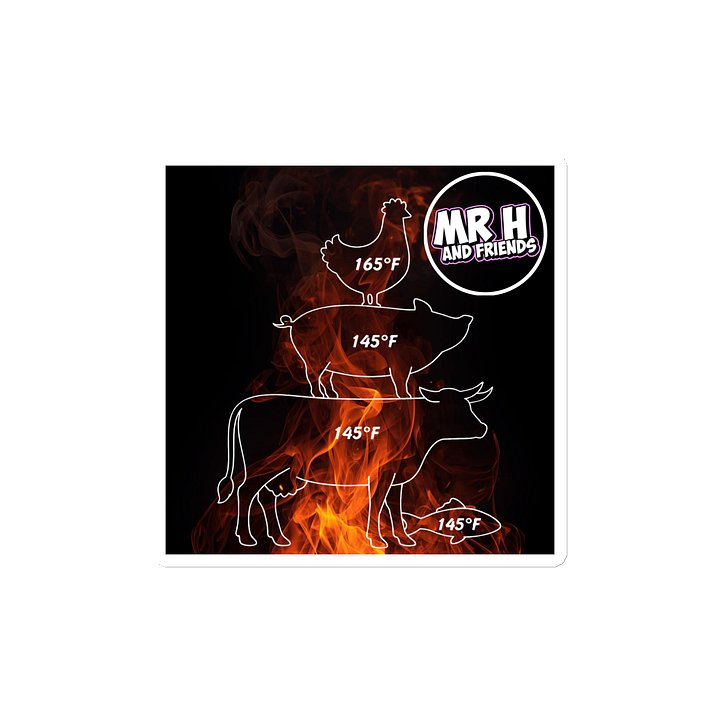 Flames Magnet - USDA Safe Internal Temps product image (2)