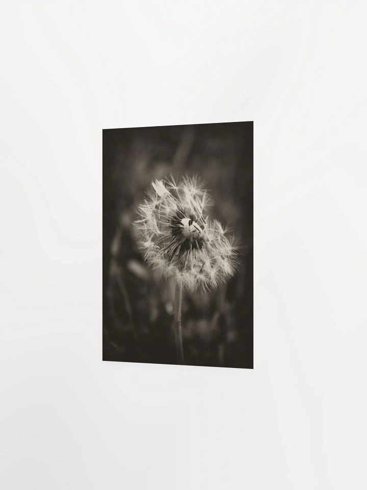 Dandelion product image (9)