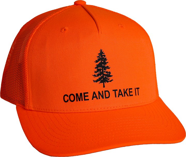 CATI Hat product image (1)