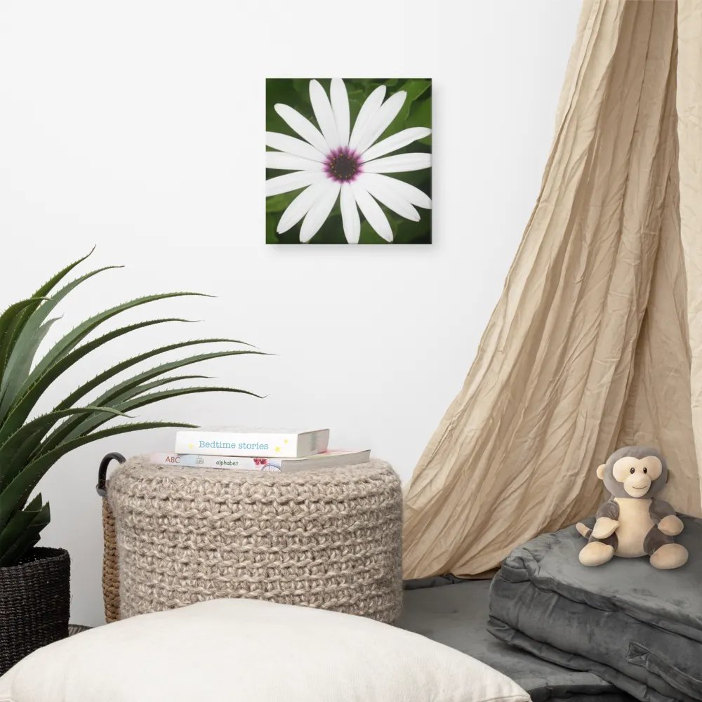 Daisy on Canvas product image (7)