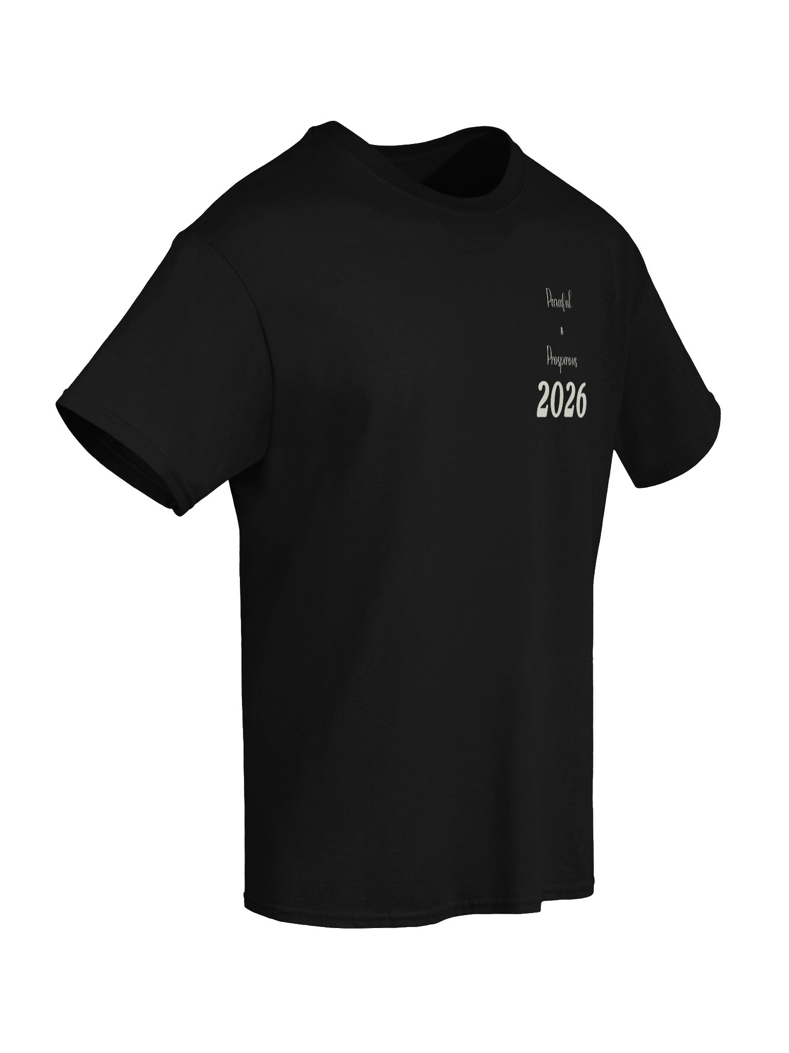 Custom Peaceful + Progressive 2026 Graphic Tee product image (16)