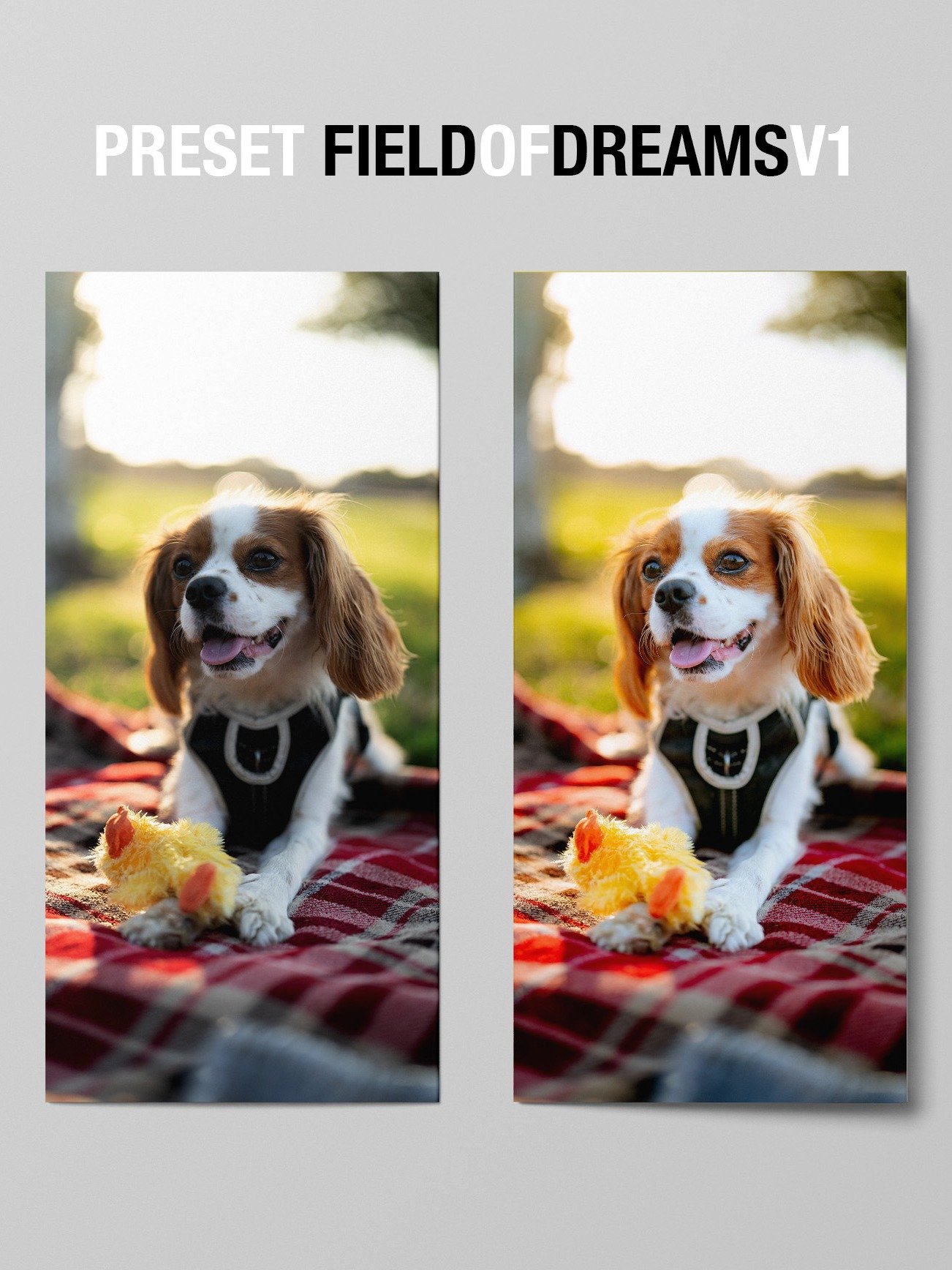 All PRESETS BUNDLE product image (10)