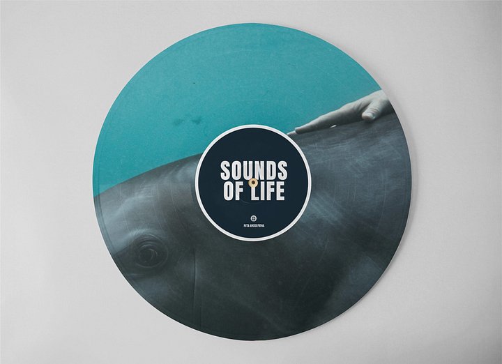Sounds of Life product image (1)