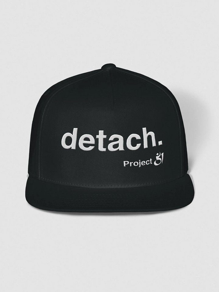 detach. snapback product image (1)