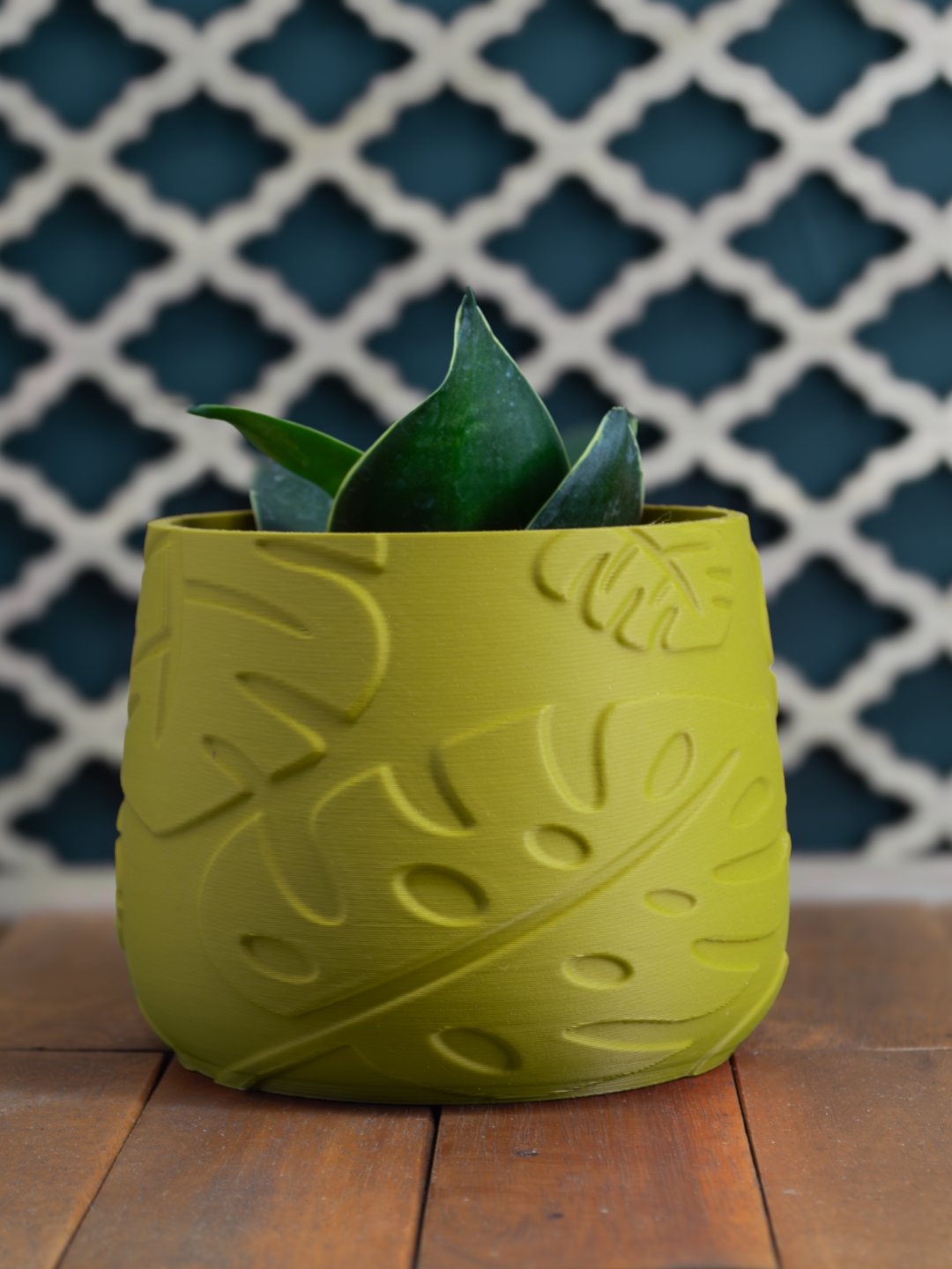 Indoor Plant Pot with Monstera Texture product image (1)