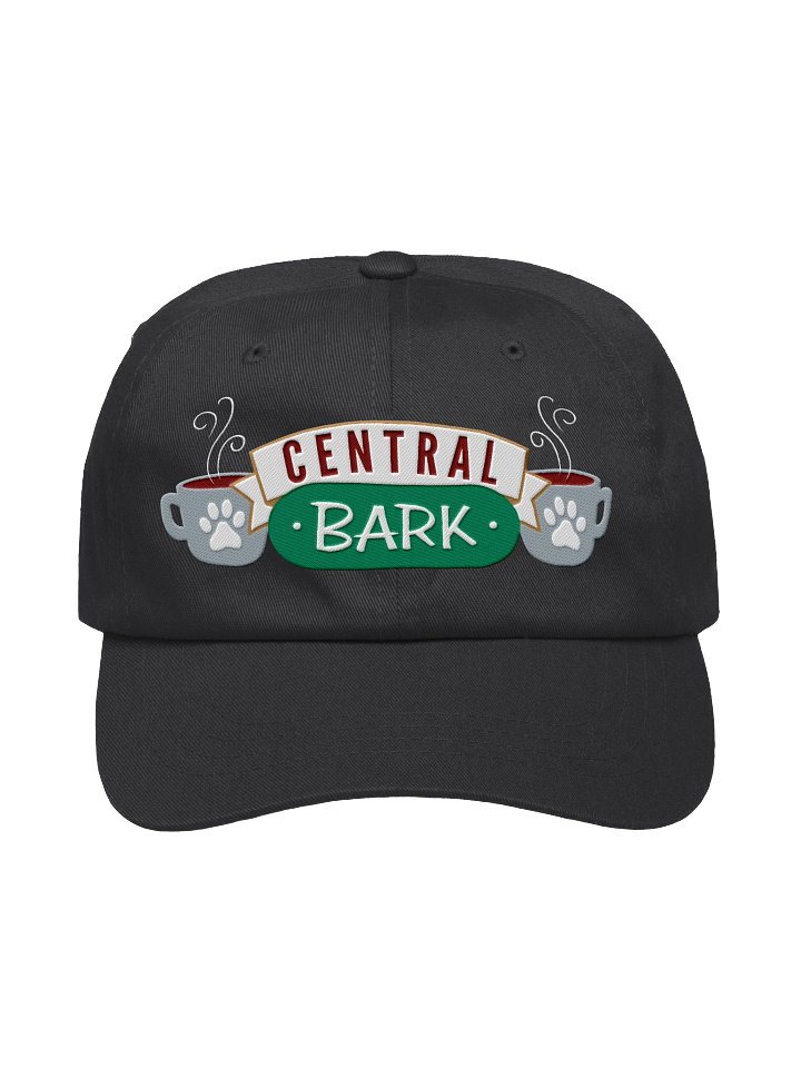 CENTRAL BARK - EMBROIDERED HAT product image (1)