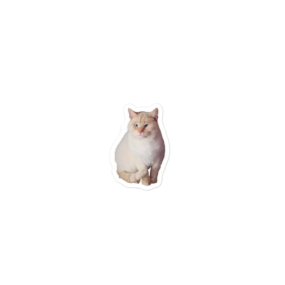 Paws The Cat Magnet product image (1)