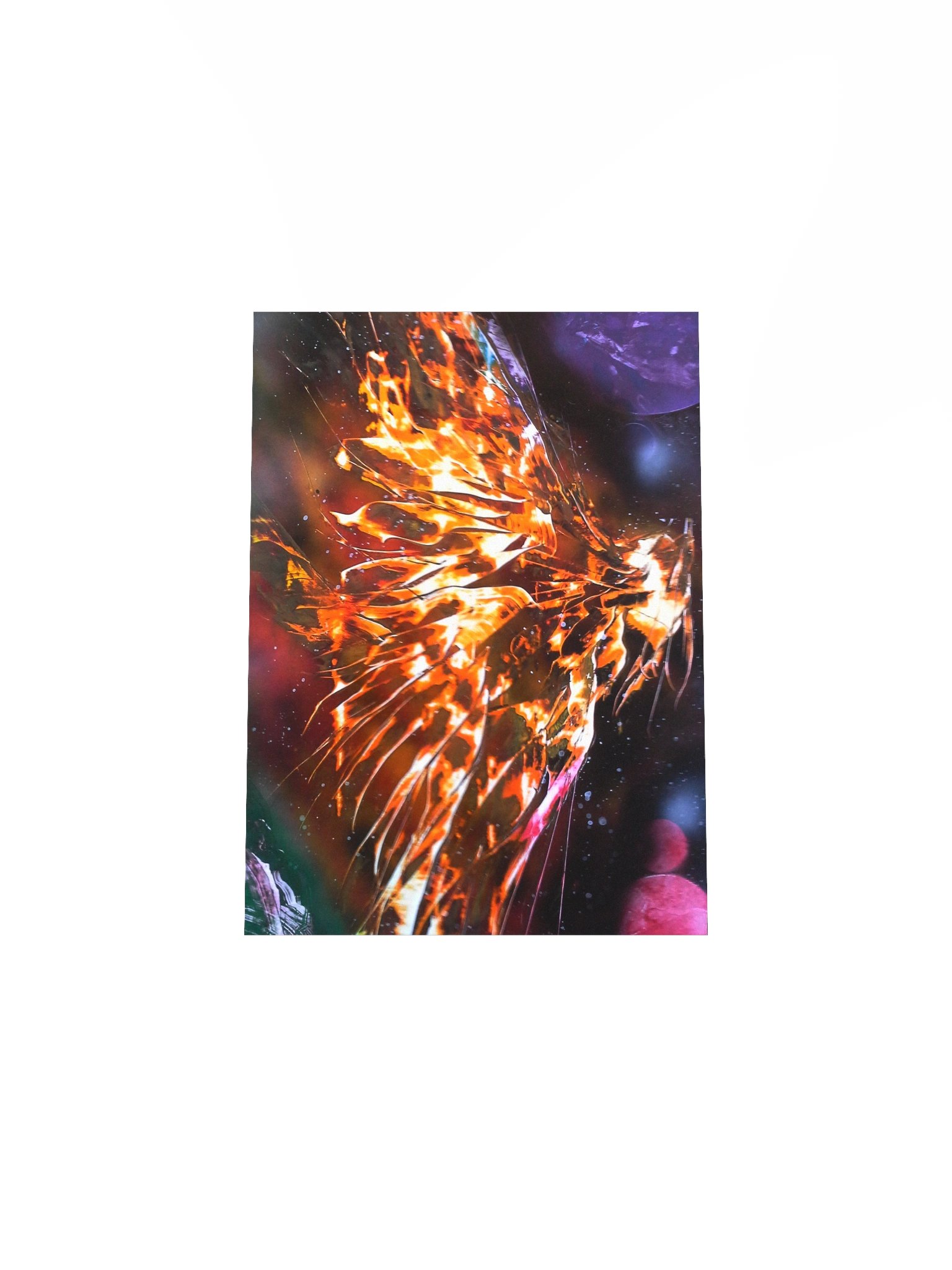Phoenix Rising - Print product image (7)