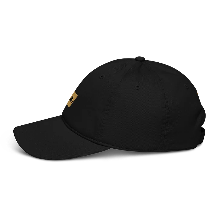 Logo Hat 002 product image (4)