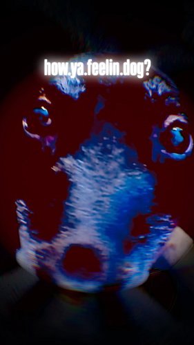 This lil Panda loves House, Techno, and Treats…though not necessarily in that order. @ikonerline @ikon_hvvy @hvvy_mttl #livet...