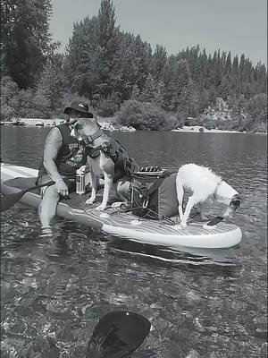 Paddleboarding on the CDA little river.  #alwaysanadventure #rvlife #CapCut 
