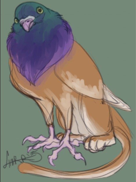Fantasy Portrait Sketch (Digital Only) product image (3)