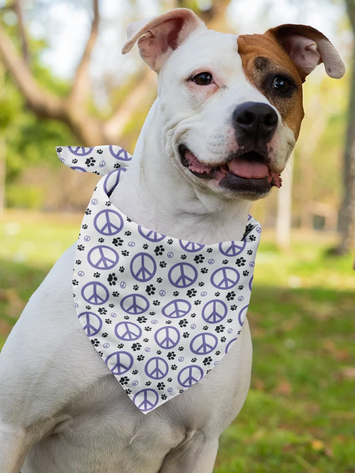 MasterPeace Bandana product image (2)