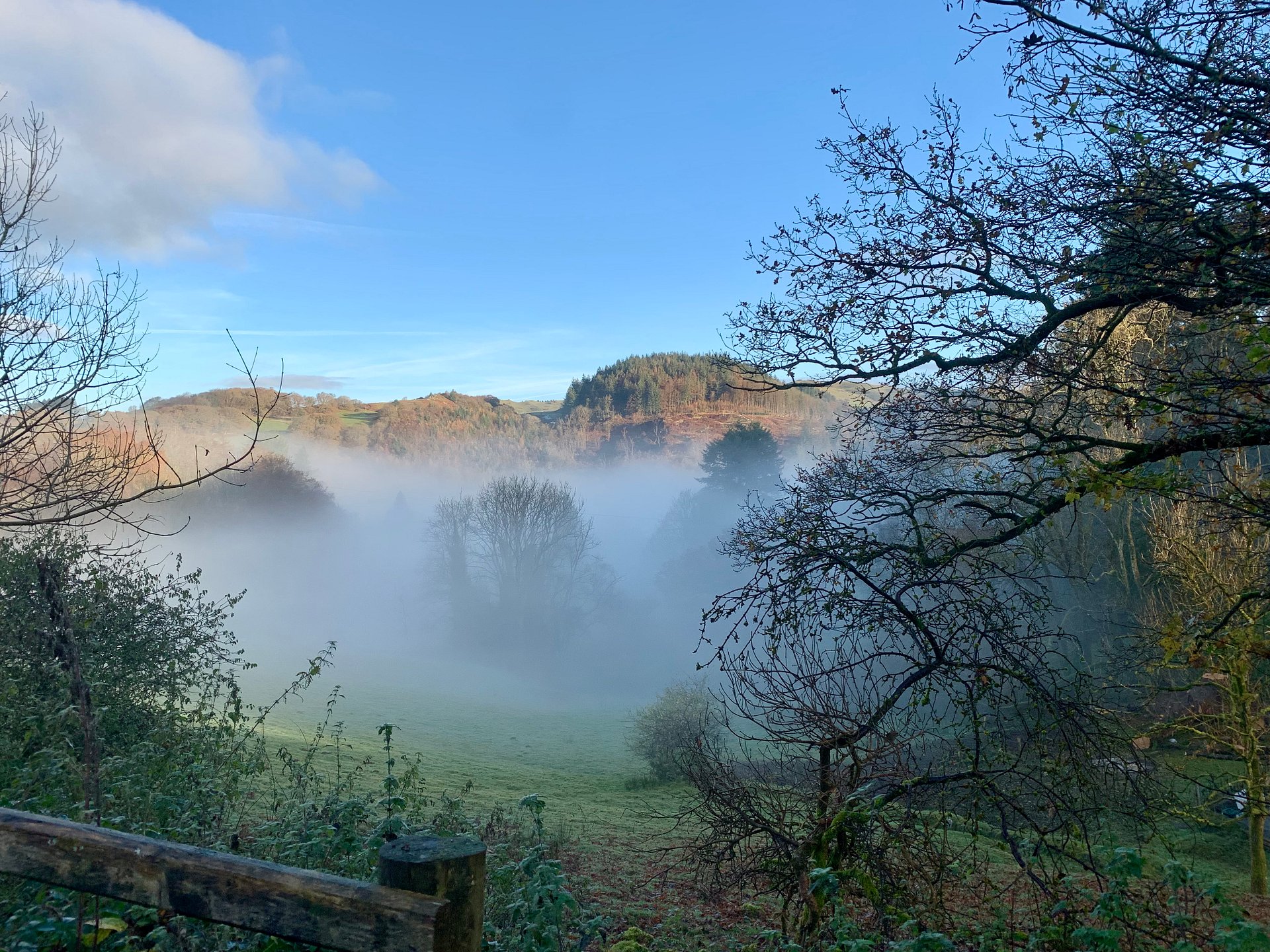 Dragons Breath On The Meadow product image (1)