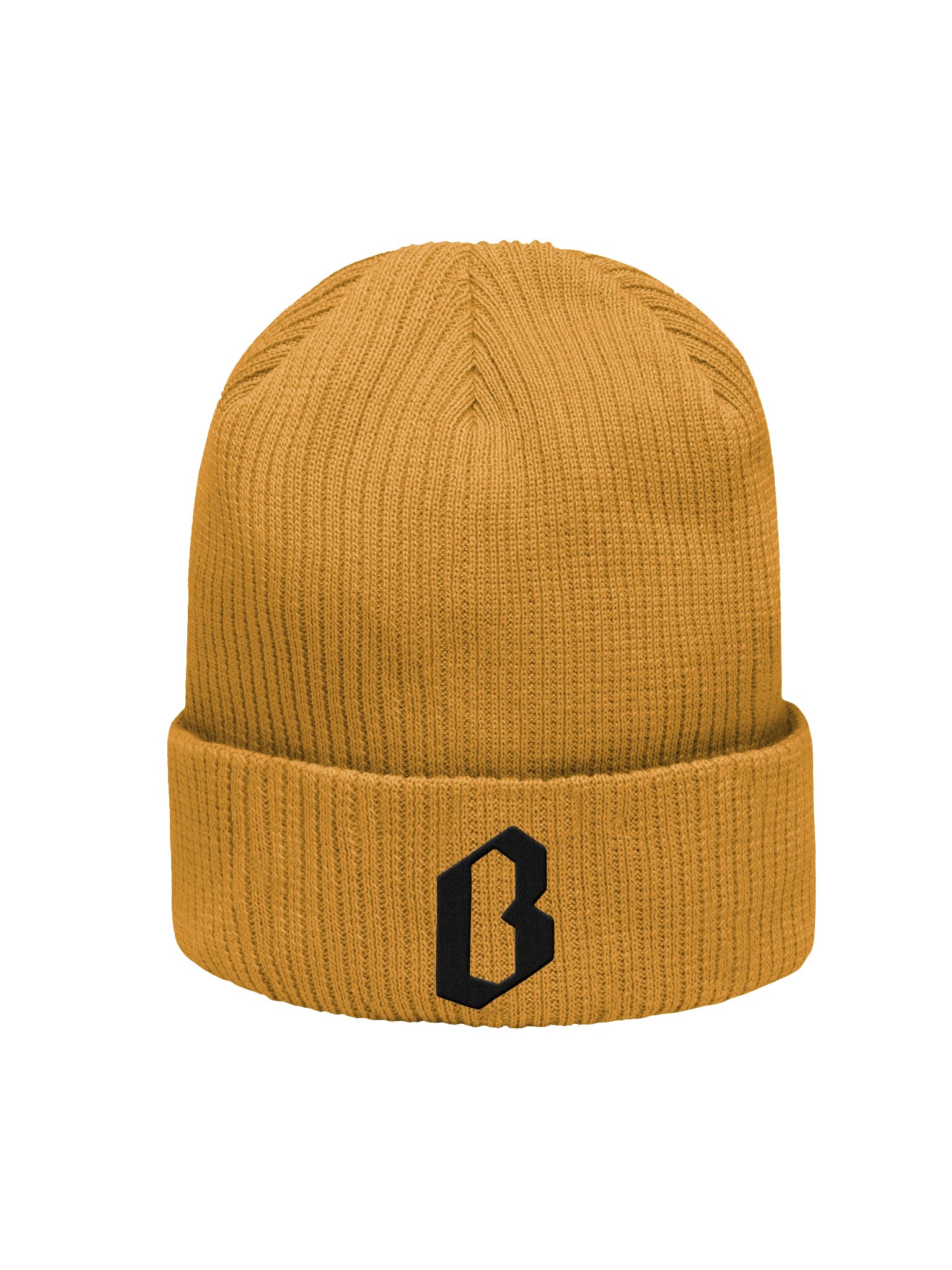 The Logo Beanie product image (1)
