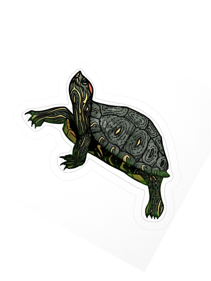 Twenty Turtle Six - May product image (2)