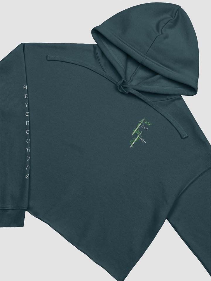 TrueTash Adventuring Party Crop Hoodie product image (2)