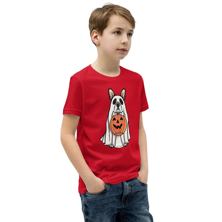 Halloween Boston Terrier(Brindle) Youth T-Shirt product image (2)