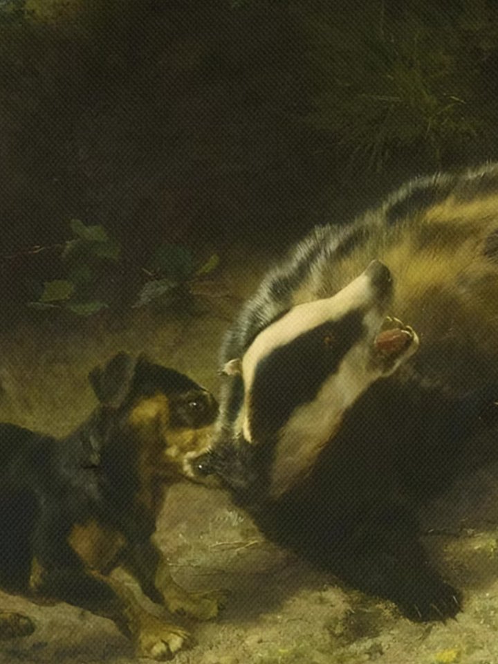 Dachshunds On a Badger product image (2)