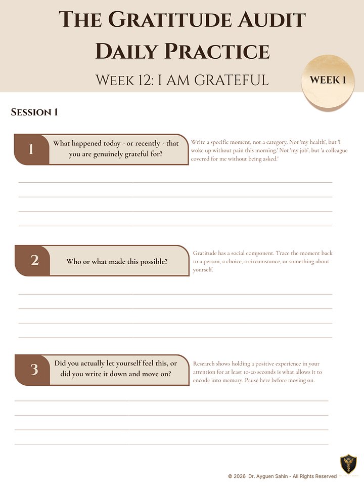 THE GRATITUDE AUDIT product image (2)