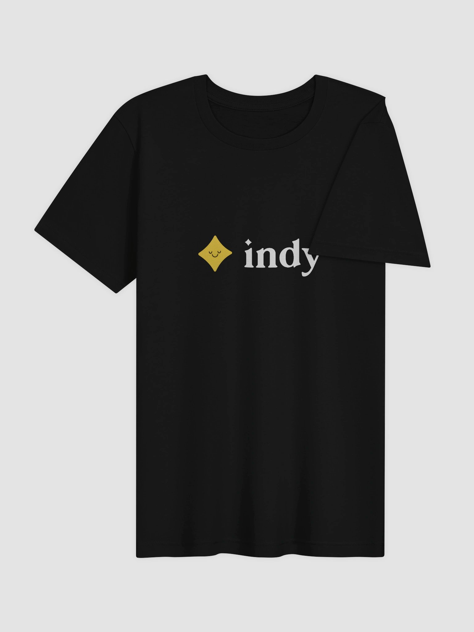 Super Soft Indy T-Shirt in Black product image (4)