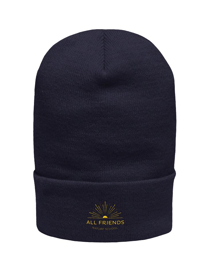 Embroidered Cuffed Beanie product image (1)