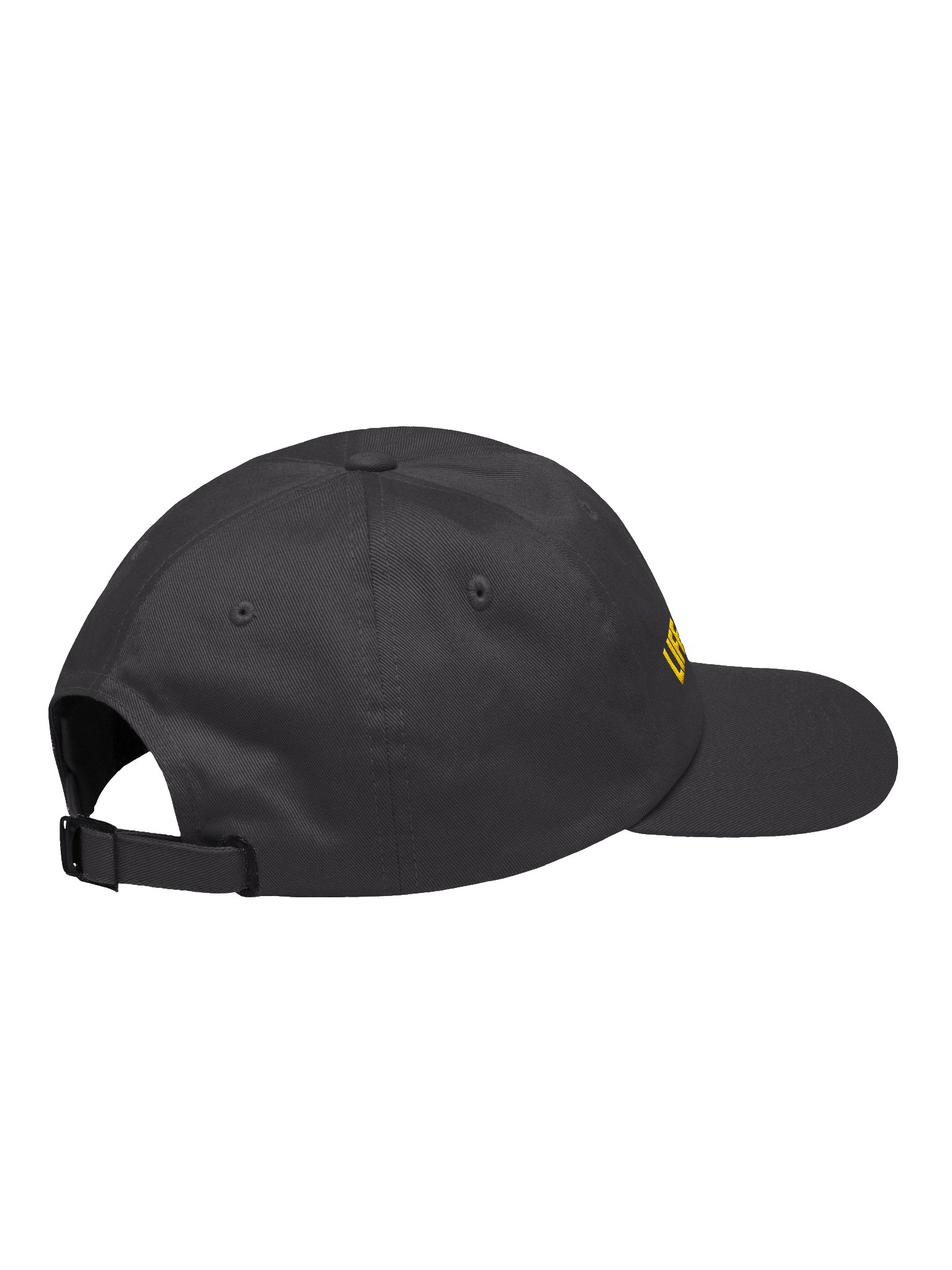 Life in LA Hat - Dark Grey product image (4)