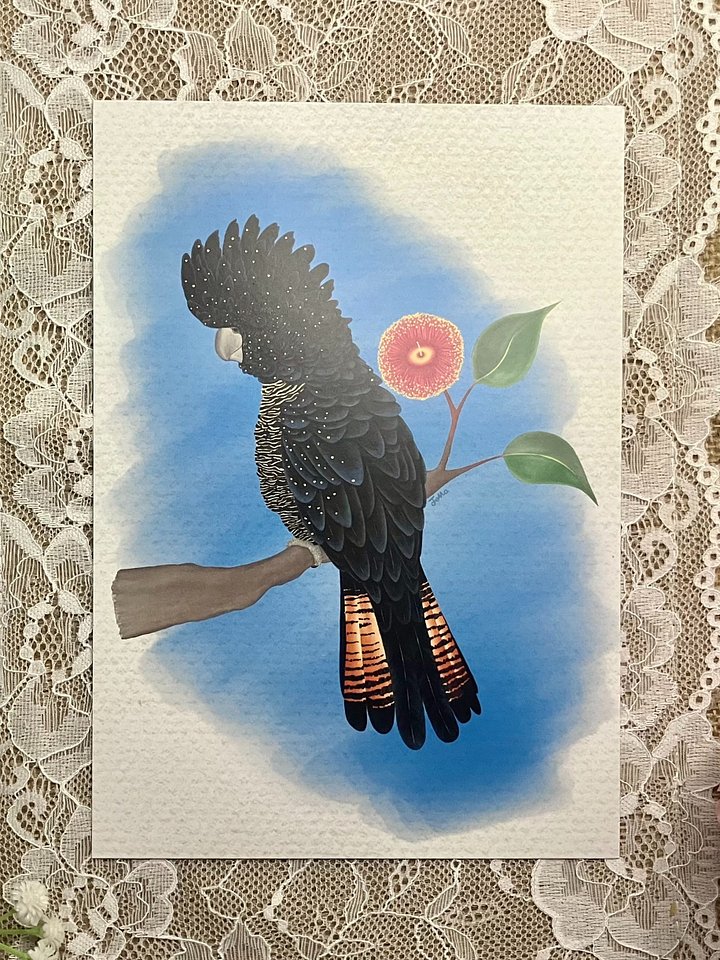 Red Tailed Black Cockatoo Art Print product image (1)