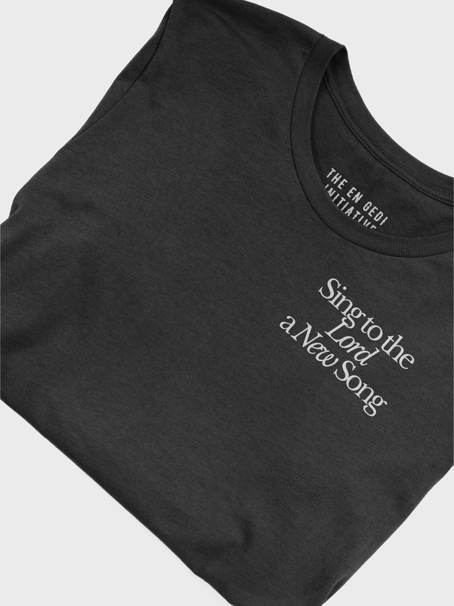 Psalms 96 T-Shirt product image (5)