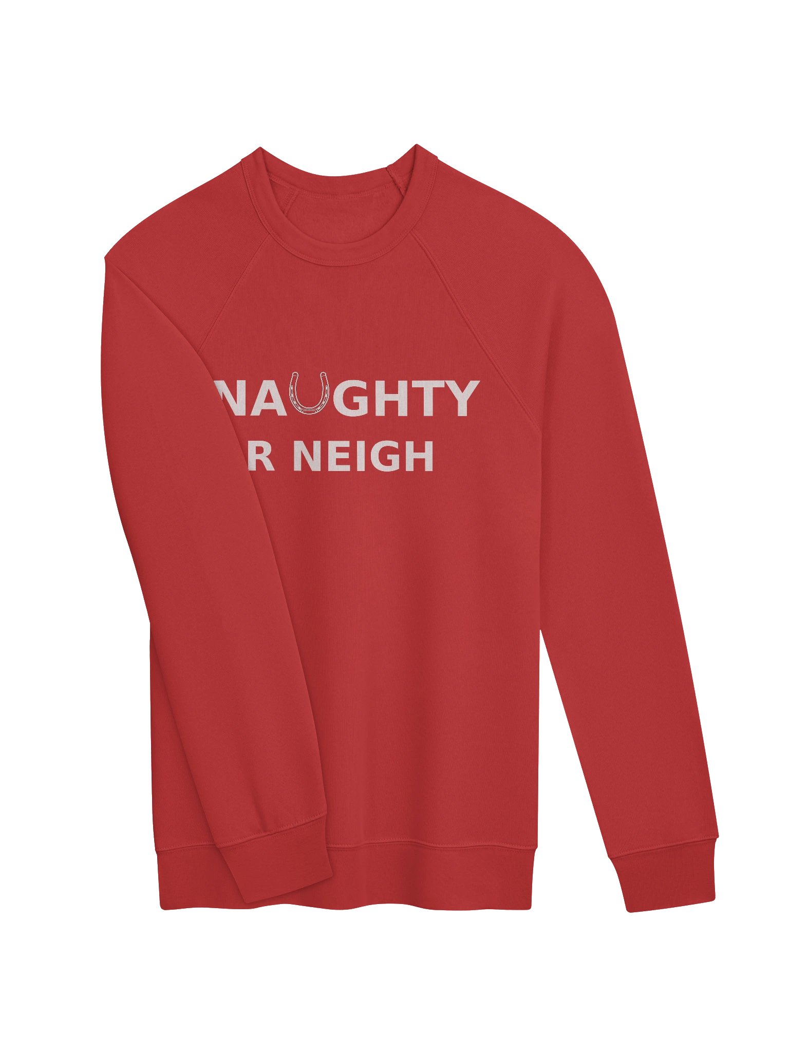 The Naughty or Neigh Sweatshirt (wholesale) product image (3)