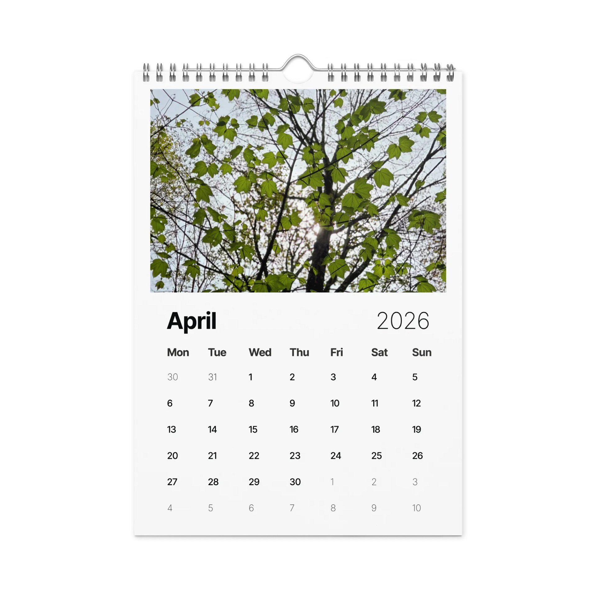 Canopy of Time: 2026 Wall Calendar product image (1)