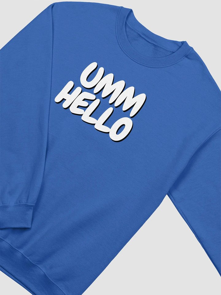 UMM HELLO?? Sweatshirt product image (6)