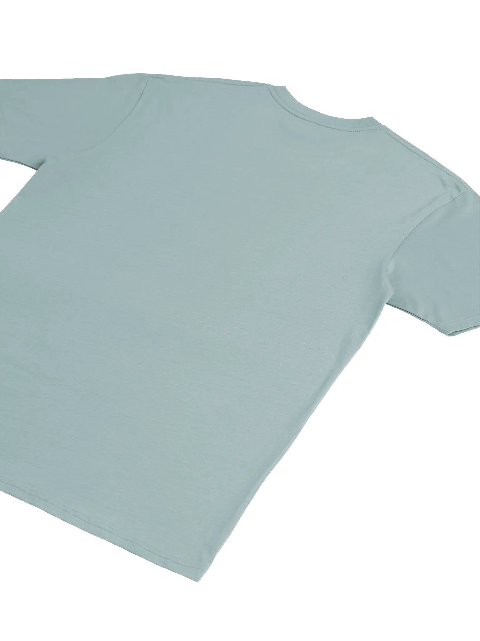 Coach's Panel Logo Men's Premium Tee product image (23)