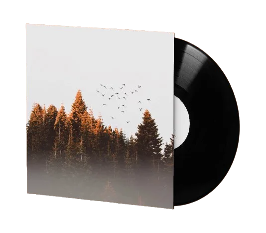 The Forest 12" Vinyl product image (1)