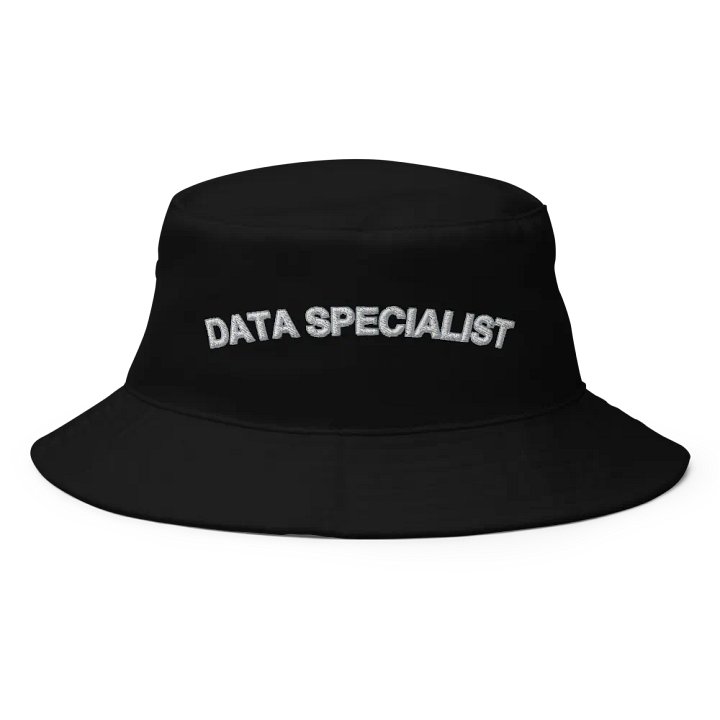 Data Specialist Hat product image (1)