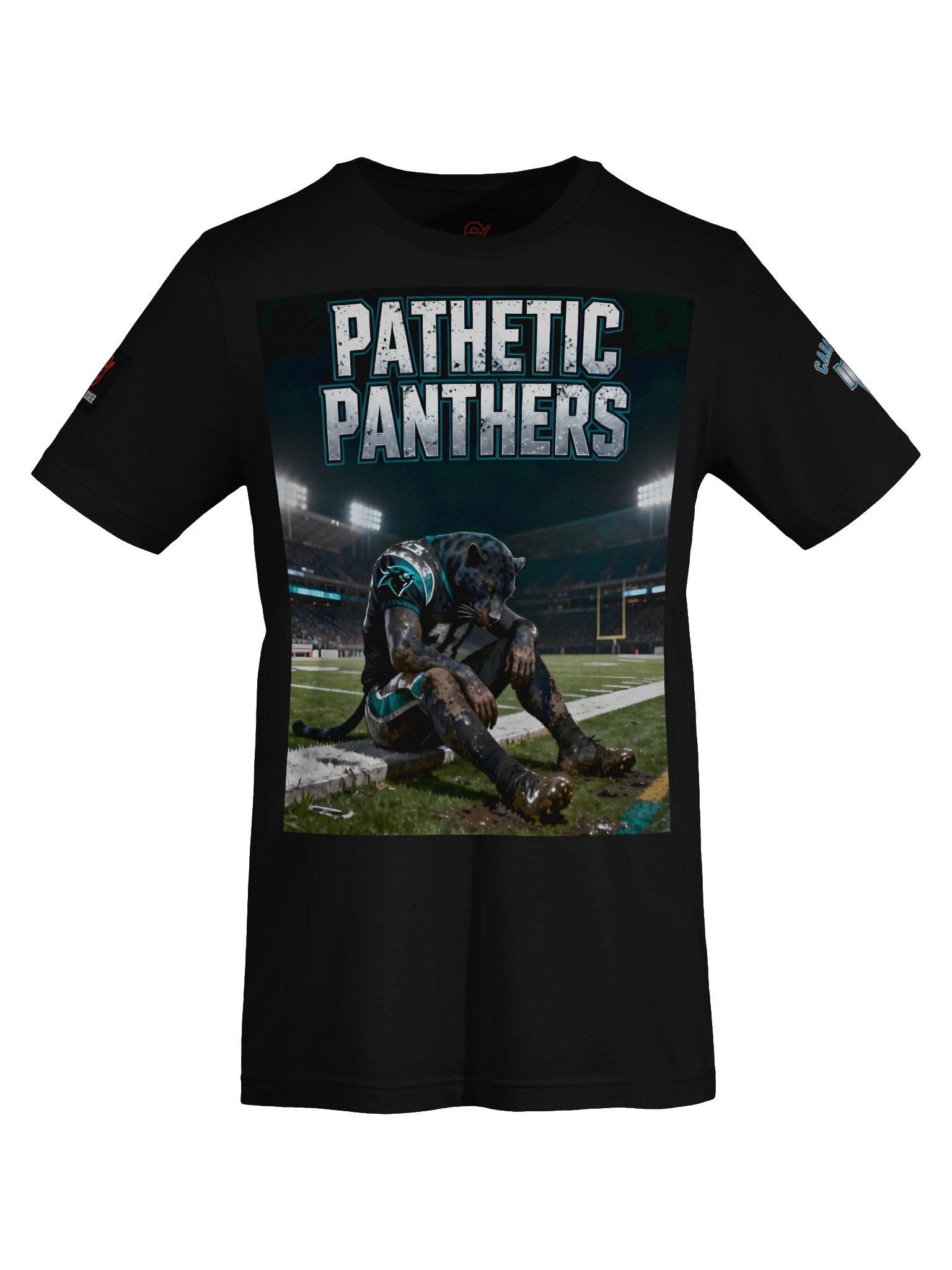 Pathetic Panthers | Carolina | Football | Rival Locker product image (8)