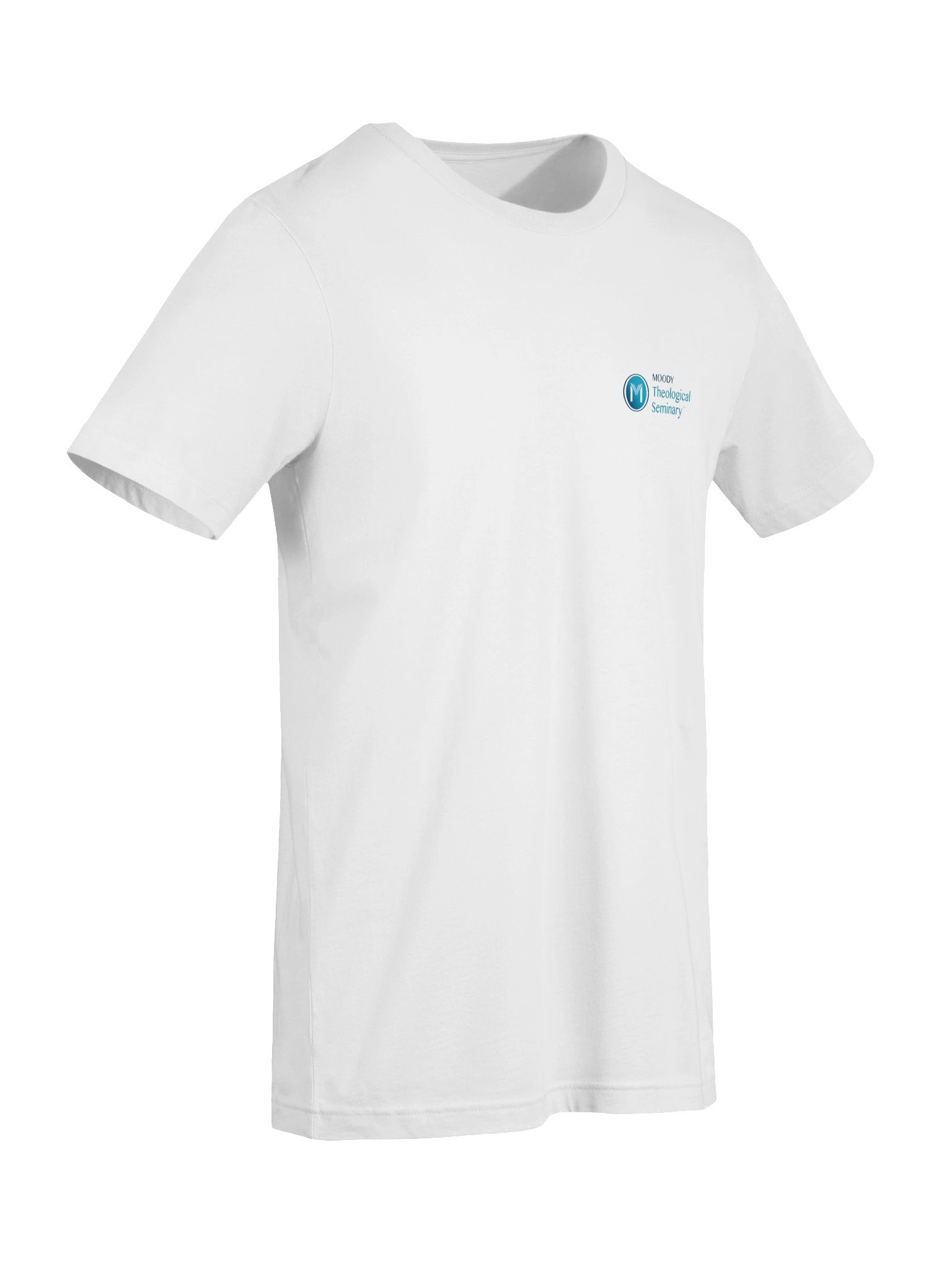 MTS Tee-Shirt (Blue Logo) product image (27)