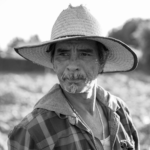 This is my friend Jesús. He is a farm worker originally from Michoacán, Mexico 🇲🇽 He is the definition of a Beautiful Soul #r...