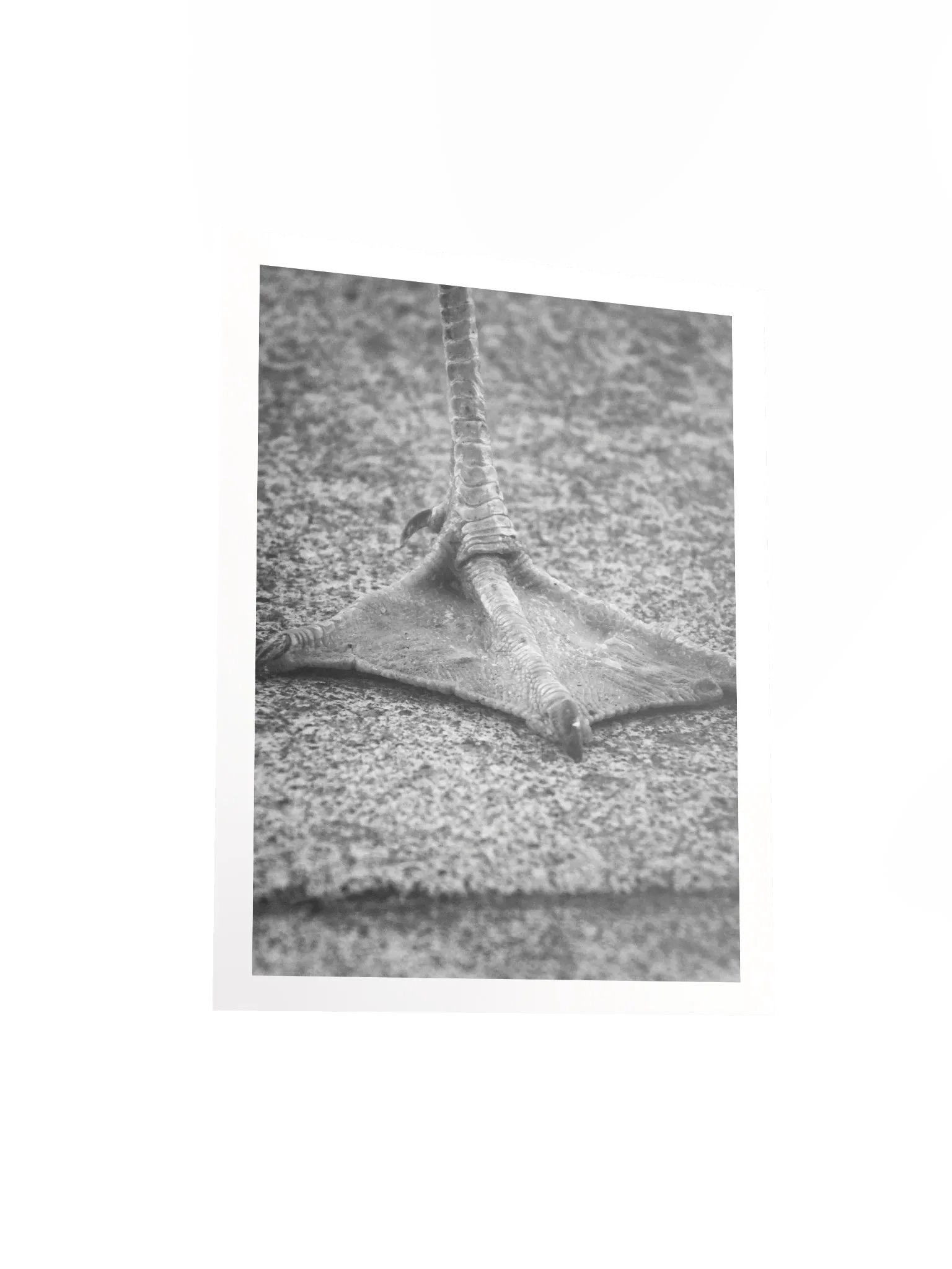 Artistic Print product image (3)