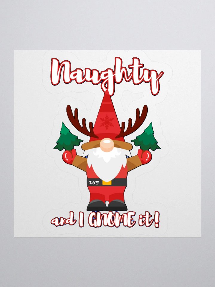 NAUGHTY AND I GNOME IT product image (1)