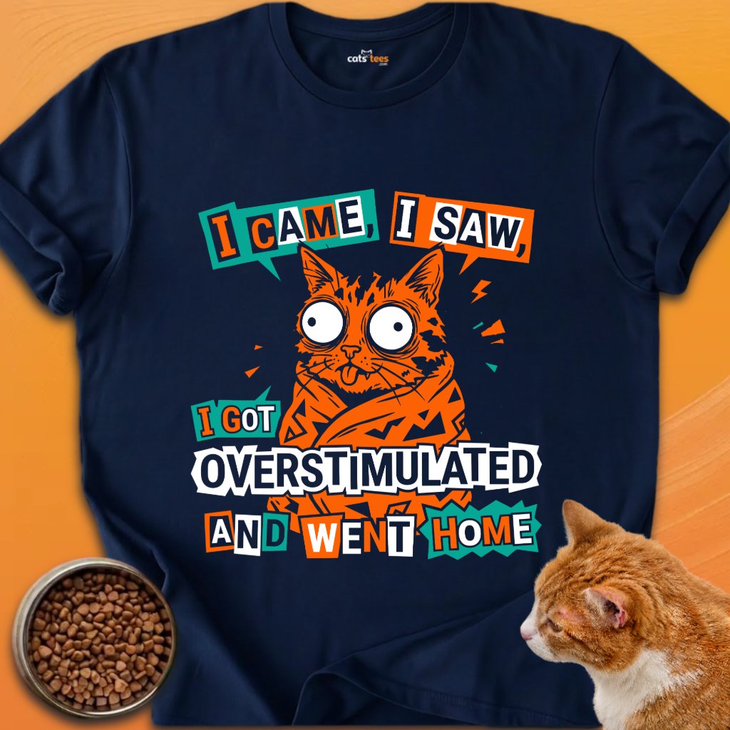 I Got Overstimulated product image (6)