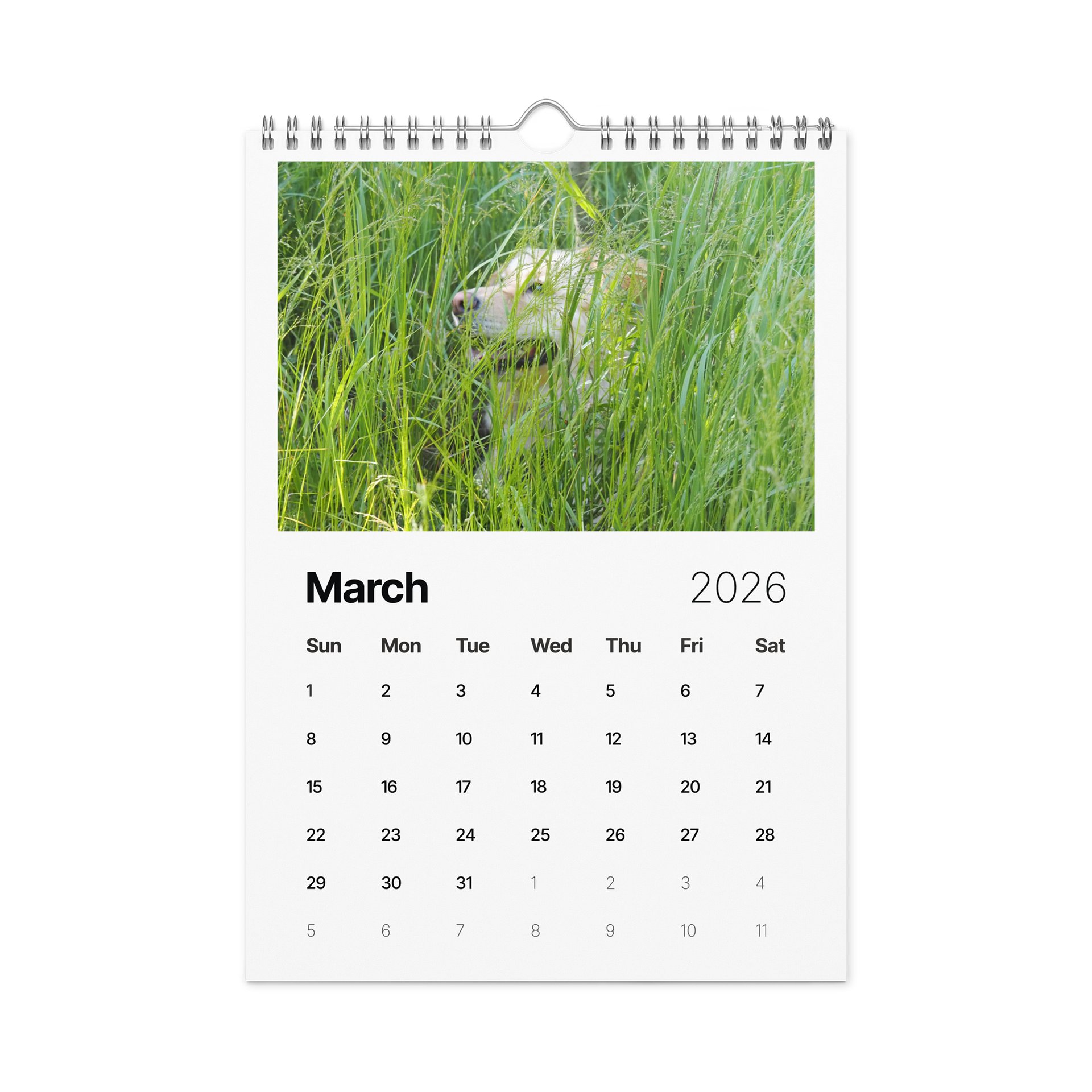 Milo's Life 2026 Wall Calendar product image (2)