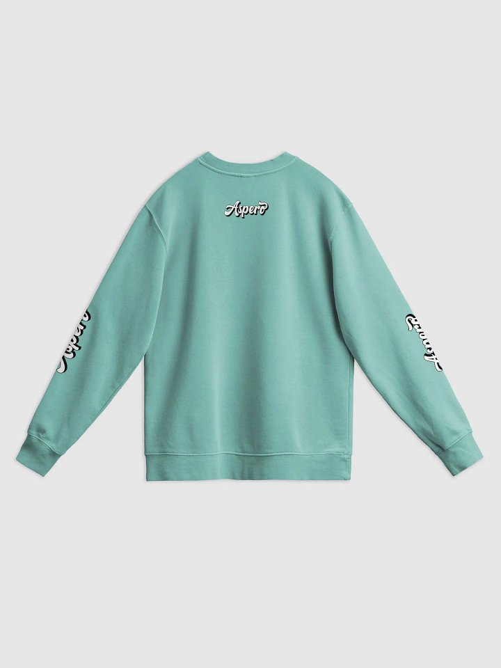 Espero Vintage Pigment Dyed Sweatshirt product image (8)