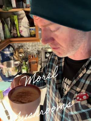Morel Mushroom Season #morel #mushroom #homestead #farmlife 