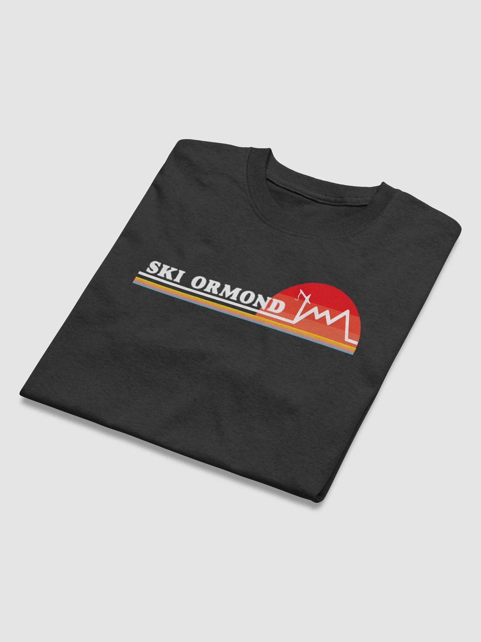 Ski Ormond Heavyweight T-Shirt product image (29)