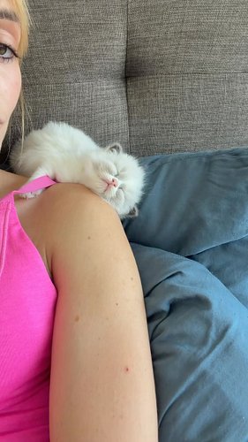 Winnie had a rough day being a kitten today